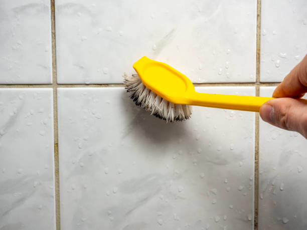 Best Mold Damage Repair  in Fairfax, OH