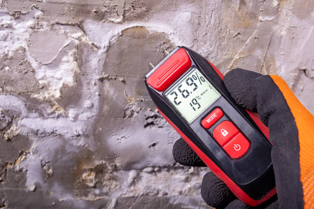 Fairfax, OH Mold Removal Company