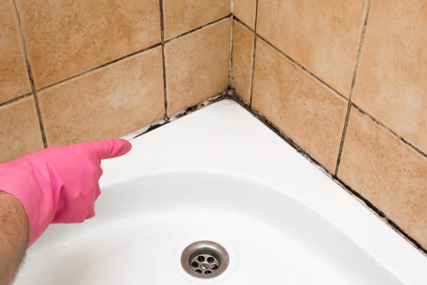 Best Crawl Space Mold Removal  in Fairfax, OH